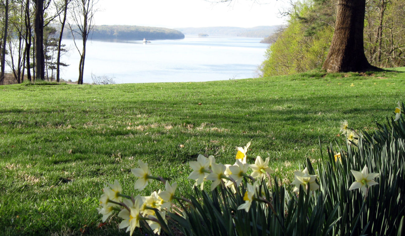 Flowers near the Hudson River on the Grounds & Trails at Wilderstein Historic Site